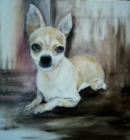 /album/festmenyeim/fonok-40x40cm-olaj-feszitett-vaszon-jpg/